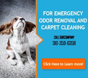 Flood Damage Restoration - Carpet Cleaning Carson, CA