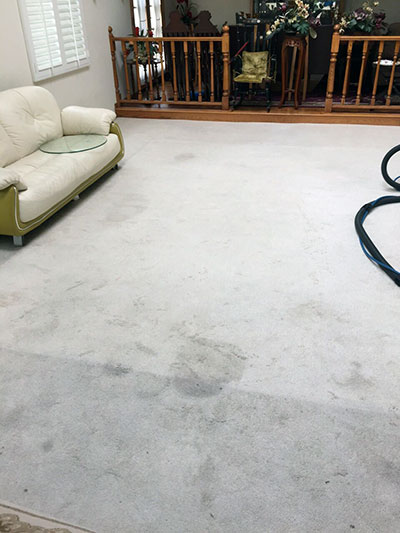 Four Carpet Stains You Want to Avoid