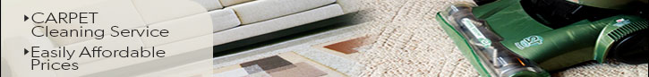 Blog | Carpet Mold Must Be Removed Immediately