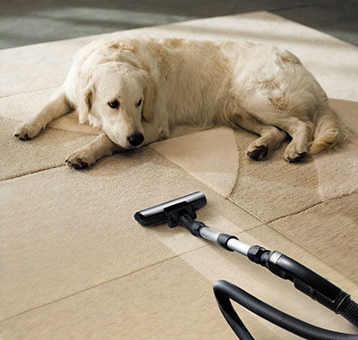 How Often Should You Vacuum Your Carpet